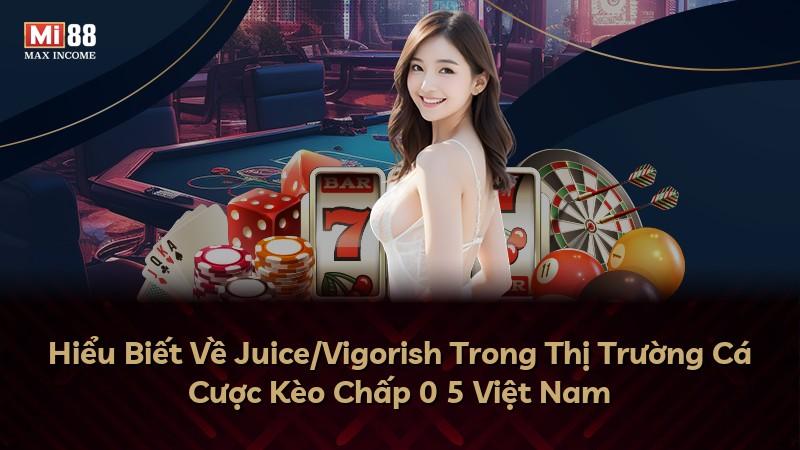 Hiểu Biết Về Juice/Vigorish Trong Thị Trường Cá Cược Kèo Chấp 0 5 Việt Nam