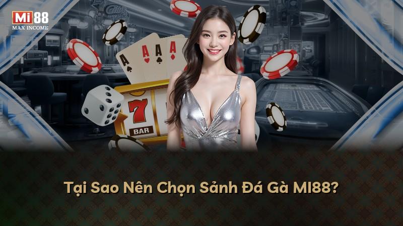 Tại Sao Nên Chọn Sảnh Đá Gà MI88?