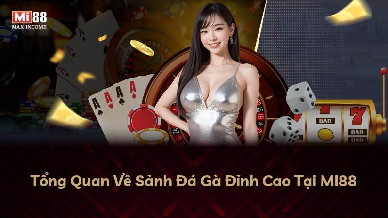 Tổng Quan Về Sảnh Đá Gà Đỉnh Cao Tại MI88